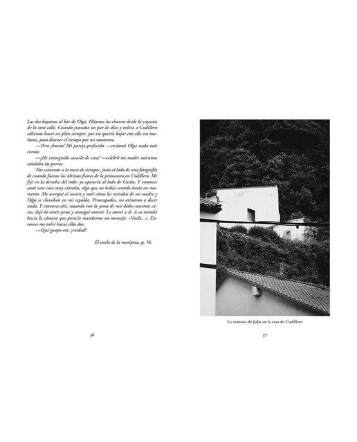 El vuelo de la mariposa (Capa mole) 4