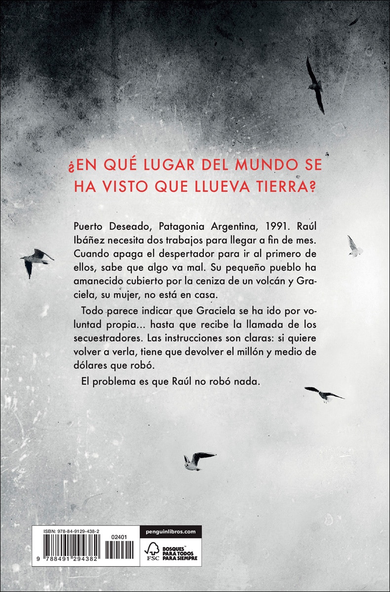 Imagen 2 de Rescate gris (Tapa blanda)