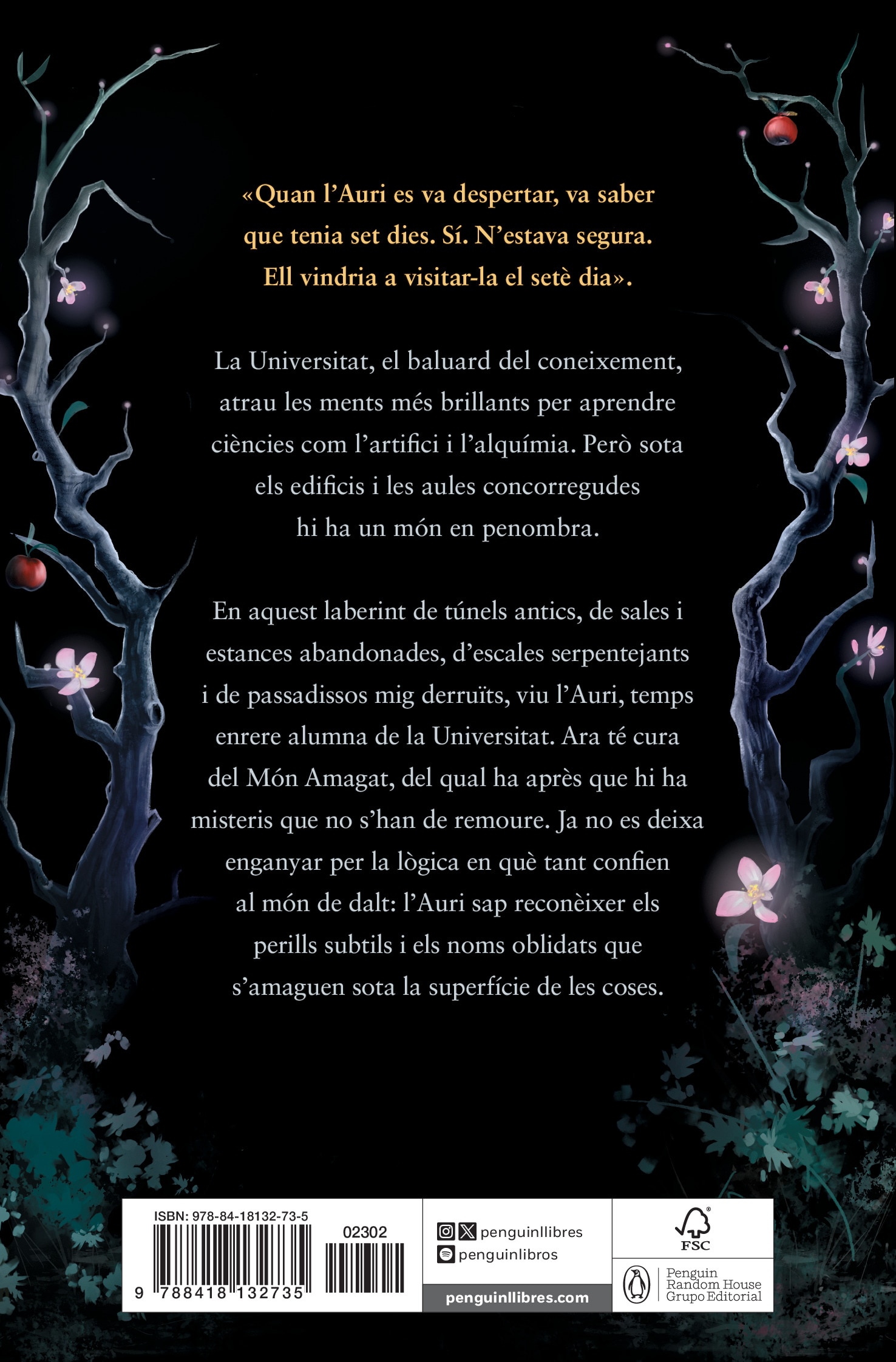 La música del silenci 2