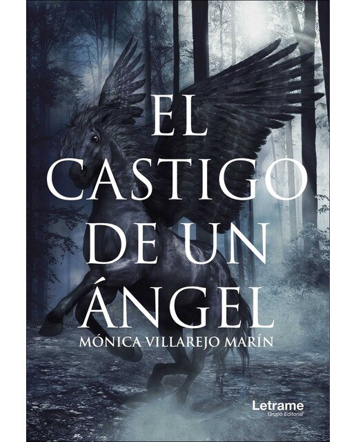 El castigo de un ángel(Tapa blanda) 1