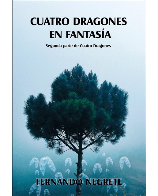 Cuatro dragones en fantasía(Tapa blanda) 1