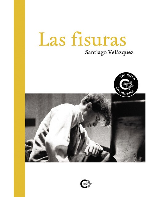 Imagen 0 de Las fisuras (Tapa blanda)