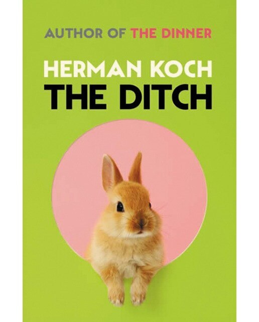 The ditch 1