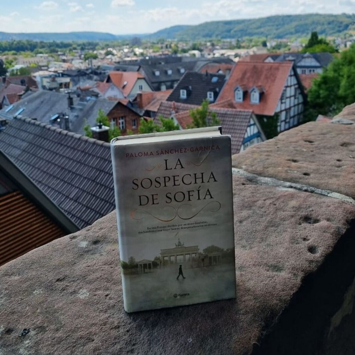 La sospecha de Sofía  (Bolsillo) (Tapa blanda) 10