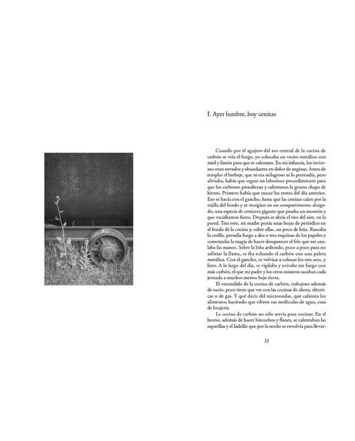 Hijos del carbón (Tapa blanda) 3