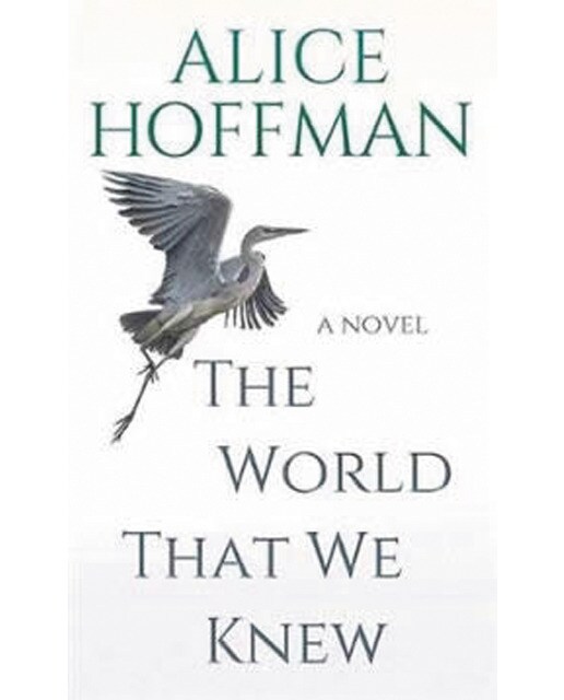 The world that we knew 1