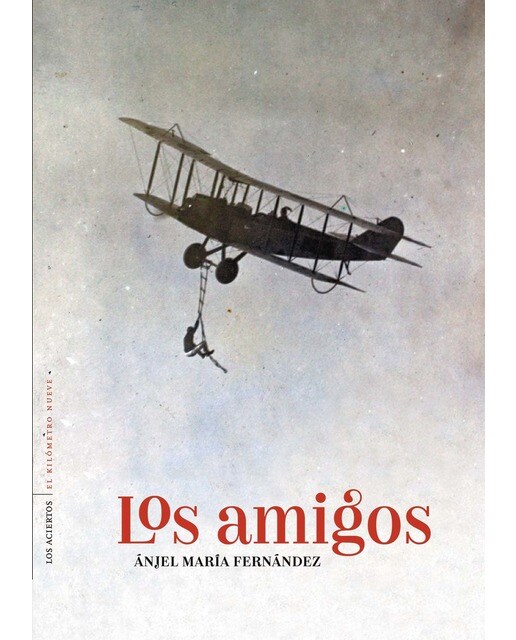 Imagen 0 de Los amigos (Tapa blanda con solapas)