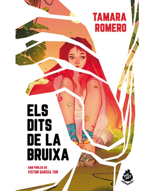 Imagen 0 de Els dits de la bruixa (Tapa blanda)