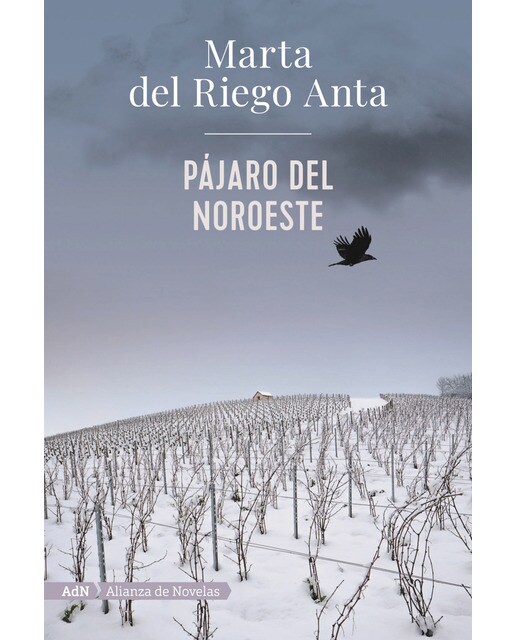 Imagen 0 de Pájaro del noroeste (AdN)  (Tapa blanda con solapas)