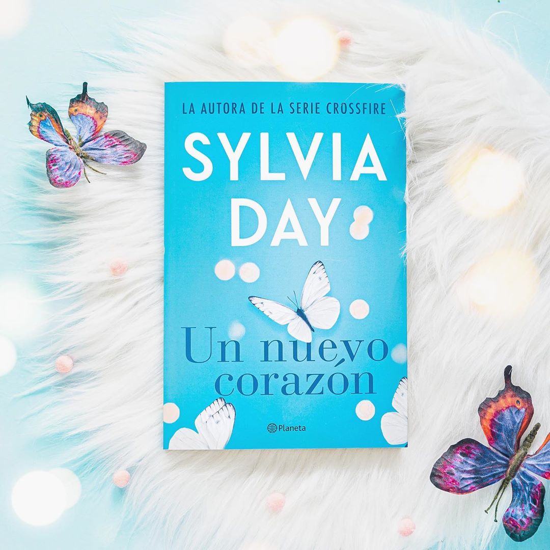 Un nuevo corazón(Bolsillo) (Tapa blanda) 3