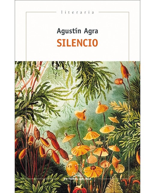 Silencio(Tapa blanda) 1