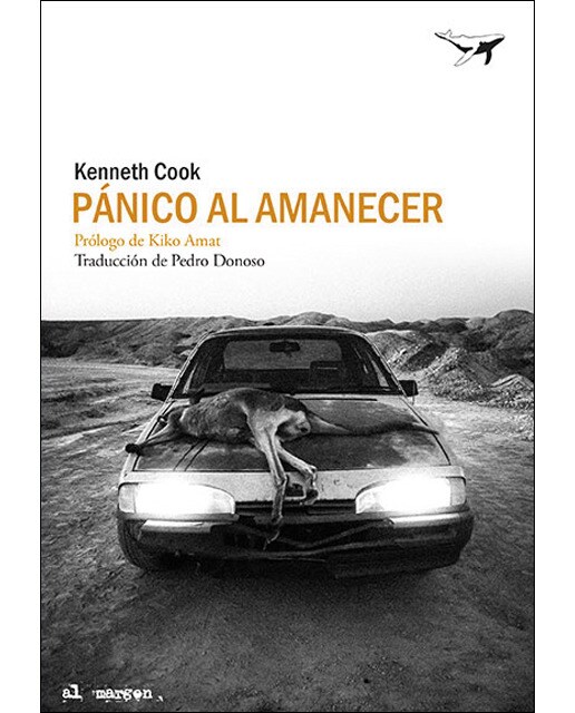 Imagen 0 de Pánico al amanecer (Tapa blanda)