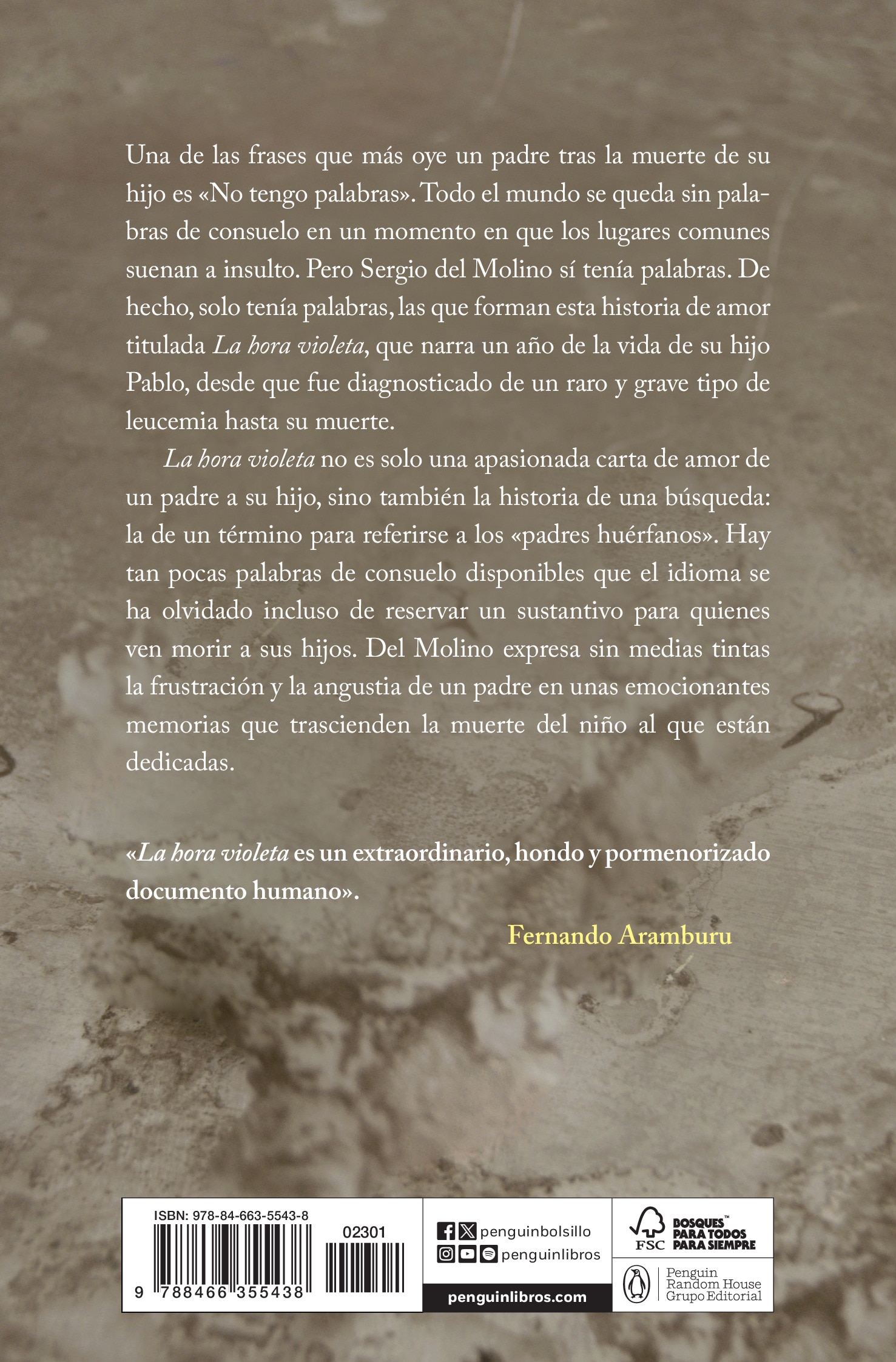 La hora violeta (Tapa blanda) 2