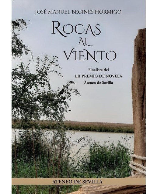 Imagen 0 de Rocas al viento (Tapa blanda)
