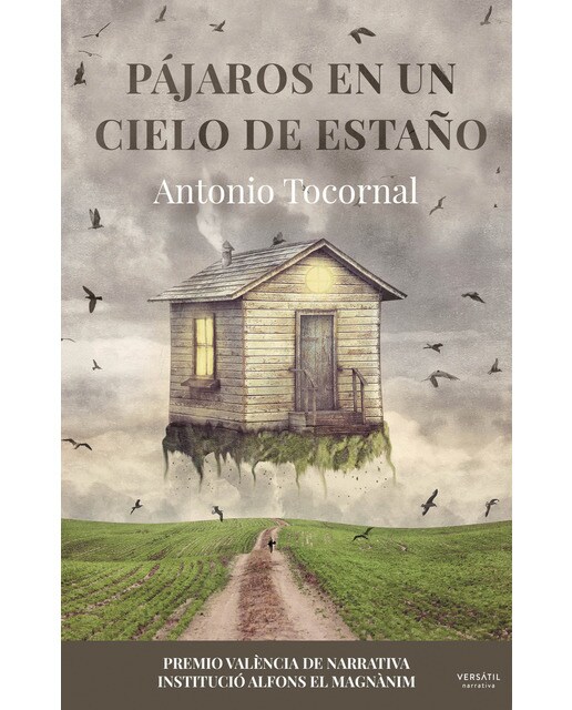 Imagen 0 de Pájaros en un cielo de estaño (Tapa blanda)