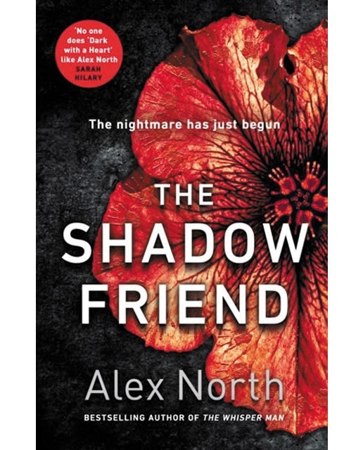 The shadow friend 1
