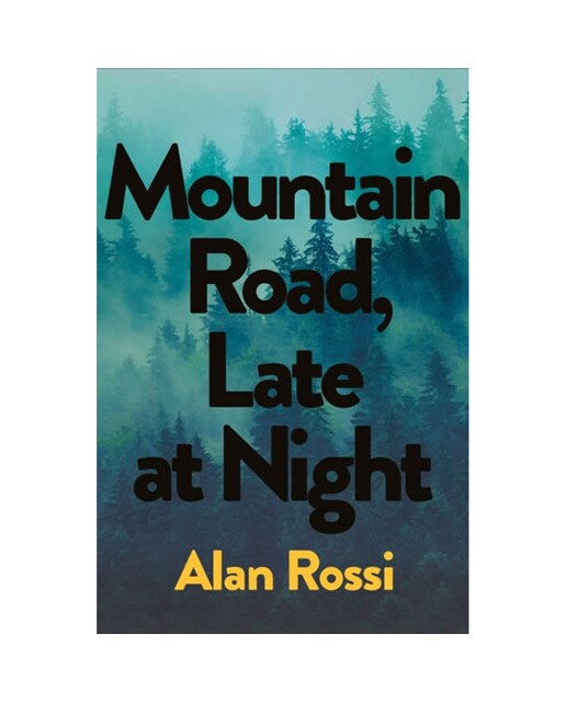 Mountain road late at night 1
