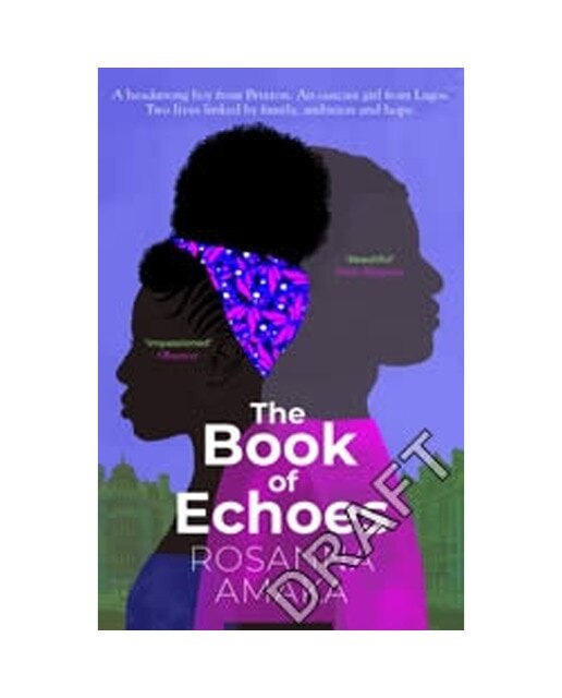 The book of echoes 1