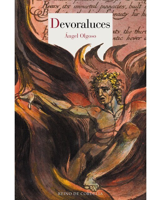 Imagen 1 de Devoraluces (Tapa blanda)