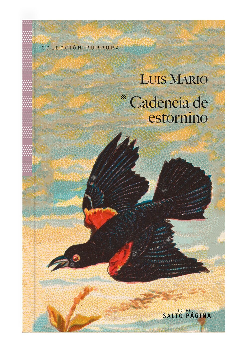 Cadencia de estornino  (Tapa blanda con solapas) 1