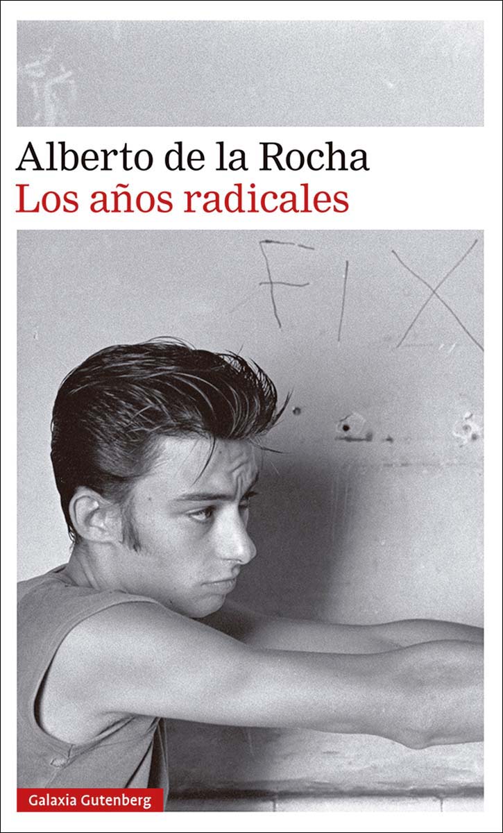 Imagen 0 de Los años radicales (Tapa dura)