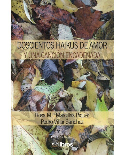 Imagen 0 de Doscientos haikus de amor y una canción encadenada
