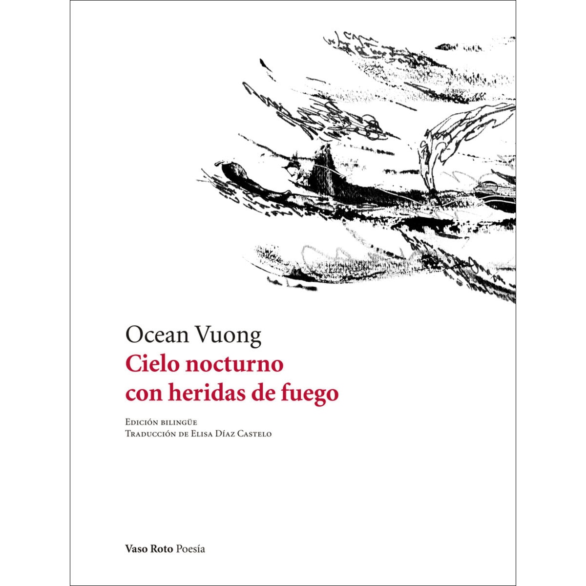 Imagen 0 de Cielo nocturno con heridas de fuego (Tapa blanda)
