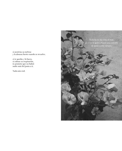 Cada noche te escribo (Tapa blanda) 4