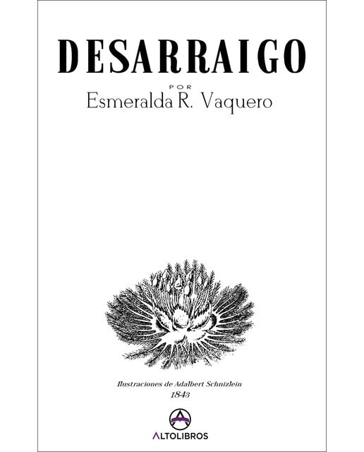 Desarraigo(Tapa blanda) 1