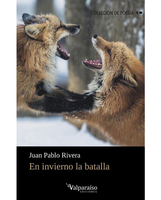 Imagen 1 de En invierno la batalla  (Tapa blanda con solapas)