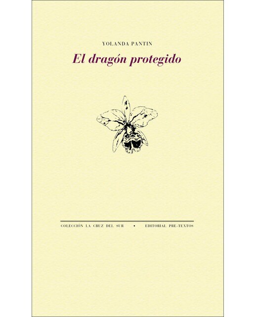 Imagen 0 de El dragón protegido (Tapa blanda con solapas)
