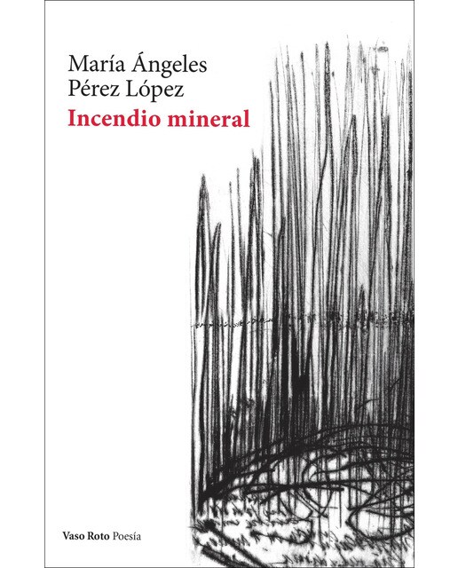 Imagen 0 de Incendio mineral (Tapa blanda)