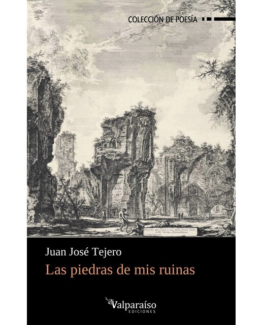 Imagen 1 de Las piedras de mis ruinas  (Tapa blanda con solapas)