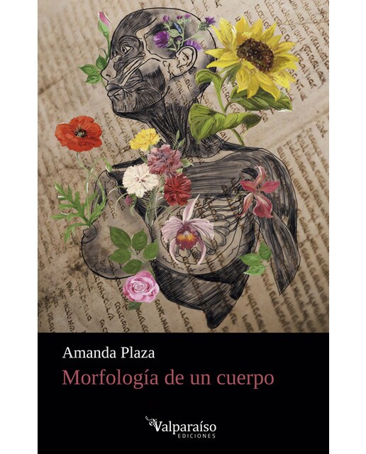 Imagen 0 de Morfología de un cuerpo  (Tapa blanda con solapas)