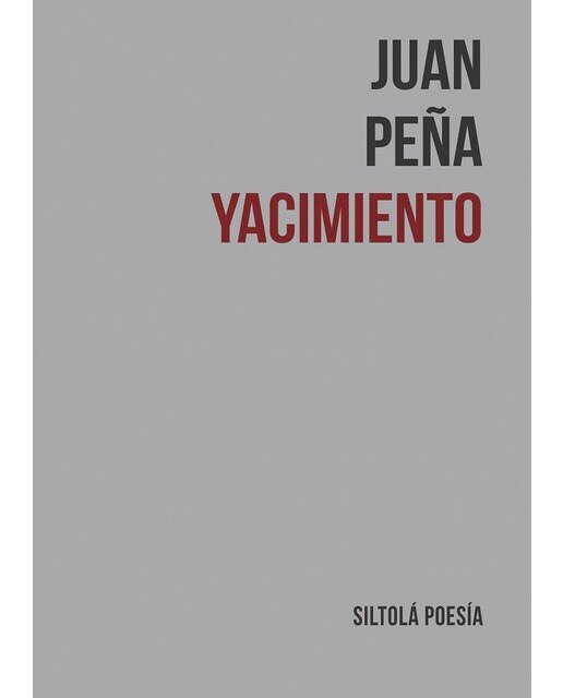 Imagen 0 de Yacimiento (Tapa blanda)
