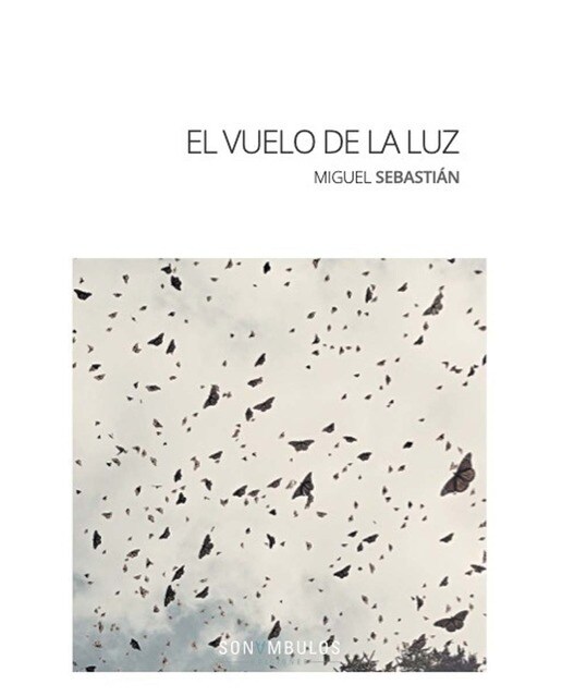 Imagen 0 de El vuelo de la luz (Tapa blanda)