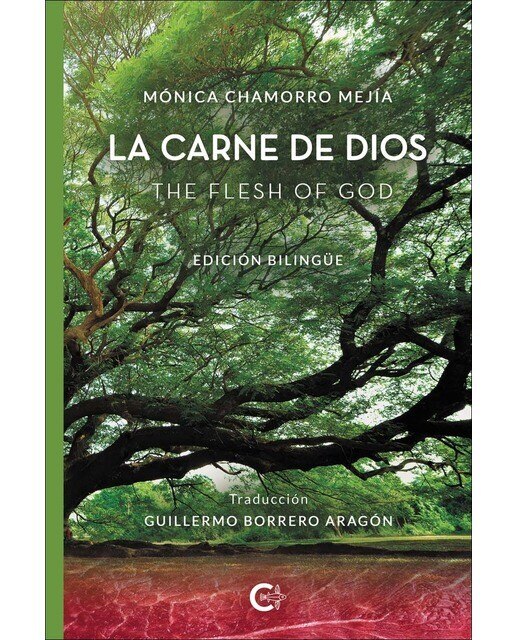 Imagen 0 de La carne de Dios  (Tapa blanda)
