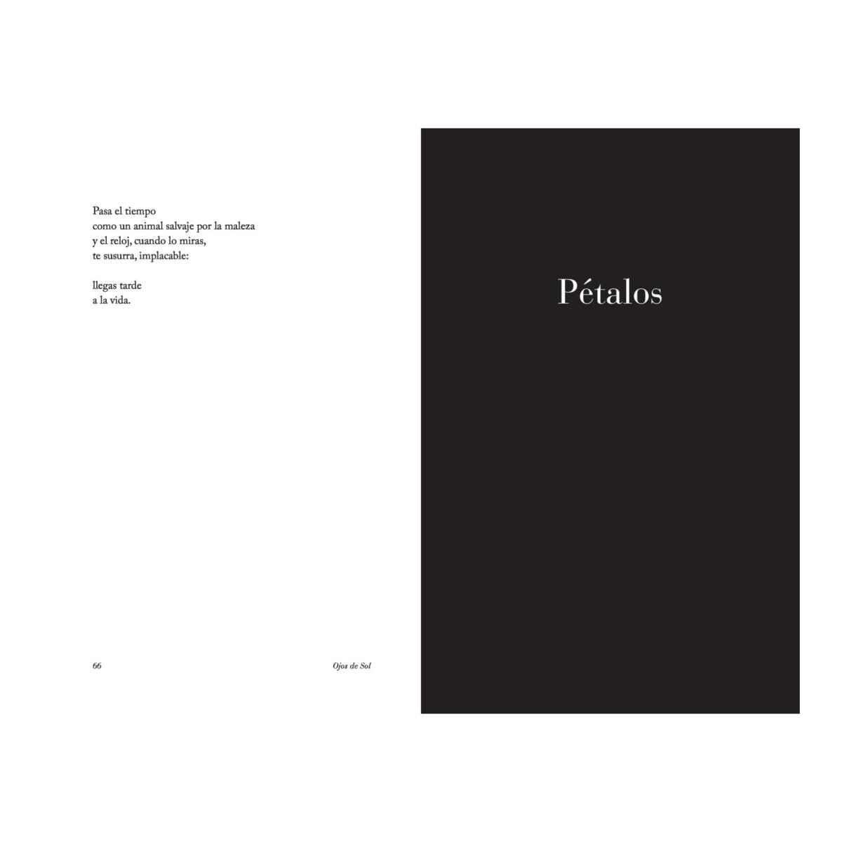 Ojos de sol (Tapa blanda) 5