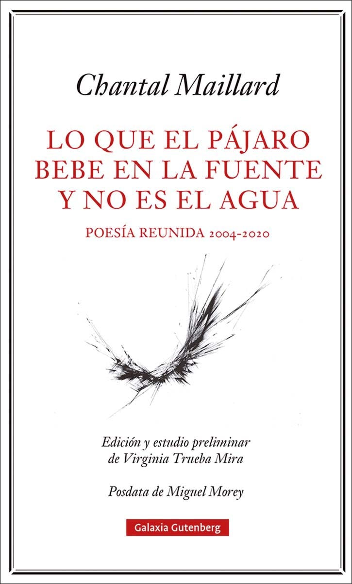 Lo que el pájaro bebe en la fuente y no es el agua: Obra poética reunida 2004-2020 (Tapa dura) 1