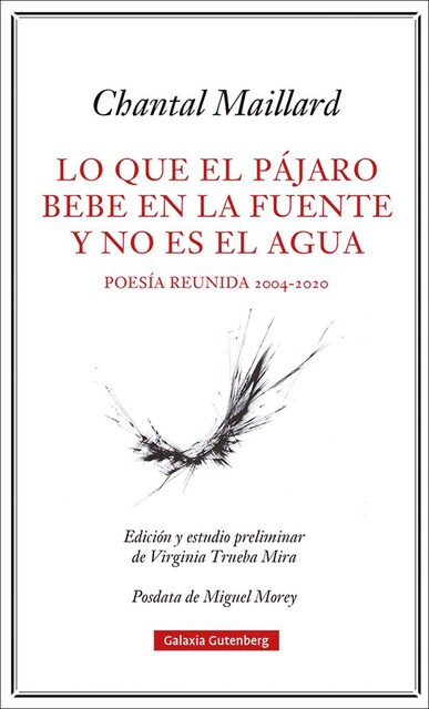 Imagen 0 de Lo que el pájaro bebe en la fuente y no es el agua: Obra poética reunida 2004-2020 (Tapa dura)