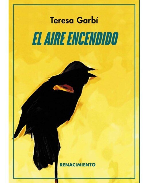 Imagen 0 de El aire encendido (Tapa blanda)