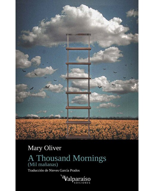 Imagem 0 de A Thousand Mornings: Mil Mañanas (Capa mole com abas)
