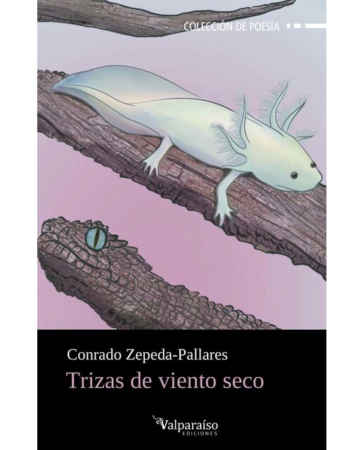 Imagen 0 de Trizas de viento seco  (Tapa blanda con solapas)