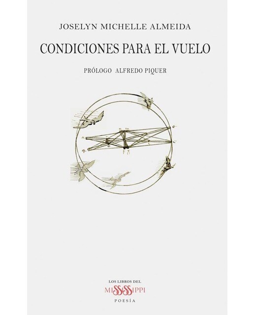 Condiciones para el vuelo