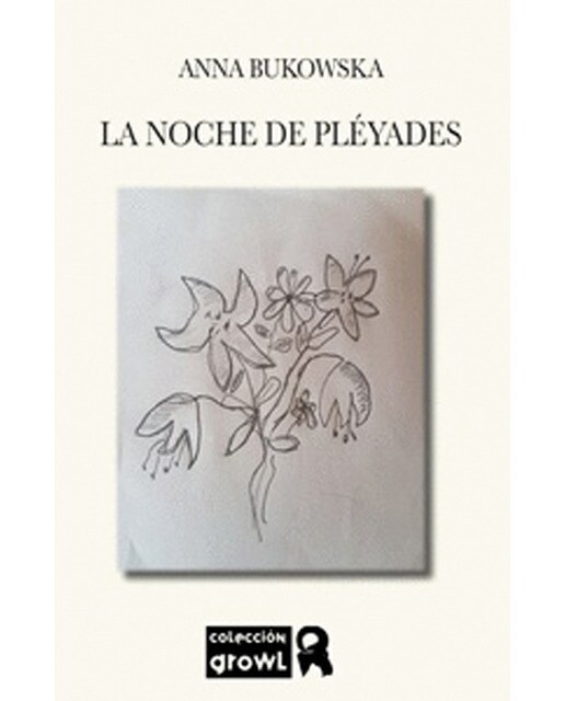 Imagen 0 de La noche de pléyades (Tapa blanda)