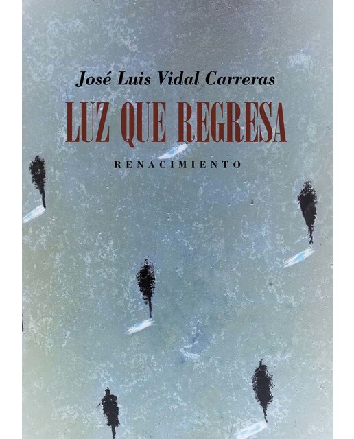 Imagen 0 de Luz que regresa (Tapa blanda)