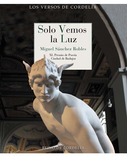 Imagen 0 de Solo vemos la luz: XL Premio de Poesía Ciudad de Badajoz (Tapa blanda)