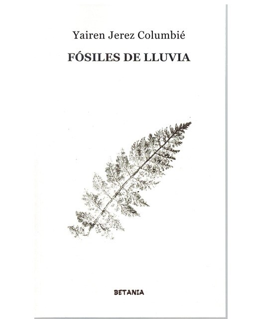 Fósiles de lluvia