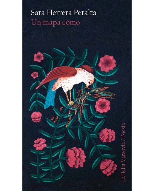 Imagen 0 de Un mapa cómo (Tapa blanda)