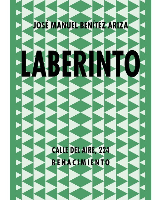 Imagen 0 de Laberinto  (Tapa blanda)